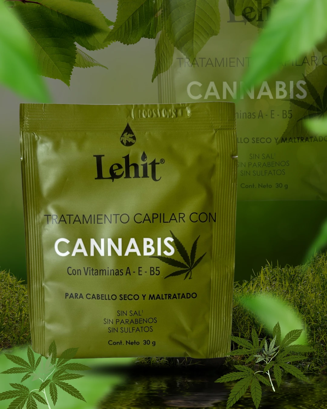Cannabis